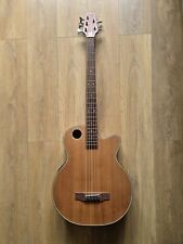 Boulder Creek EBR3 N5 5 string acoustic bass (not Fender, Ibanez, Taylor)