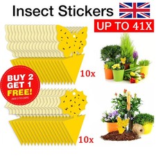 Sticky Fly Traps Plant Fly