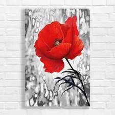Red Poppy Flower Canvas Print