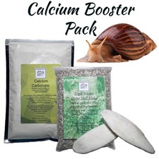 Calcium Booster Pack with Free Cuttlefish Great For Giant African Land Snails
