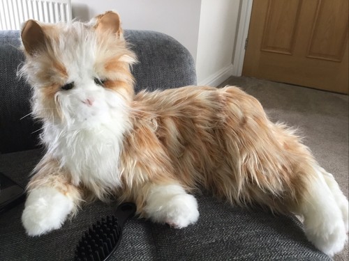 Joy for all robotic cat - joy,