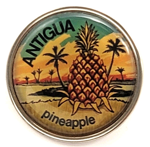 Antigua pineapple tropical - pineapple,