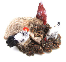 Dolls House - Chicken display