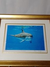 Stephen Gayford Curiosity