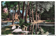 ARKP1-0008-88 - VITTEL - Water