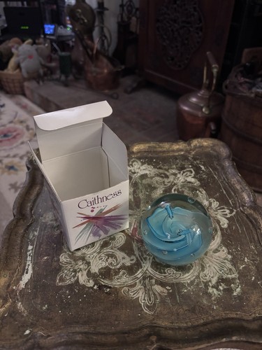 Caithness cornflower miniature - caithness,