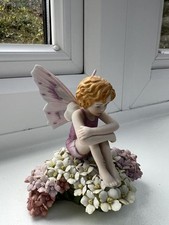 Royal Worcester Flower Fairies