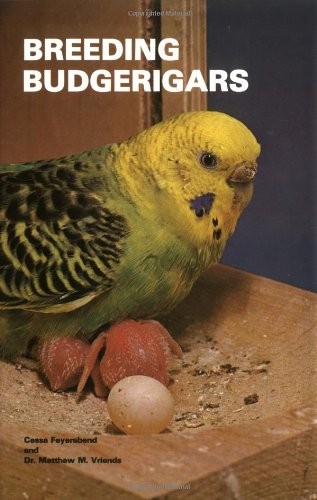 Breeding budgerigars cessa - breeding,