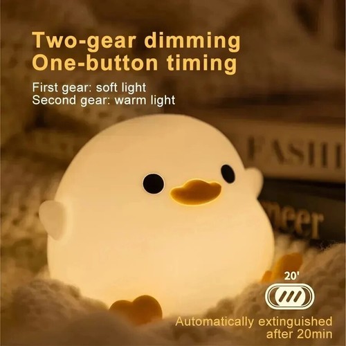 Led night light - night,