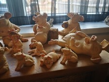 Pigtails pigs holland studio