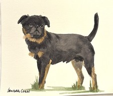 Brussels Griffon Original