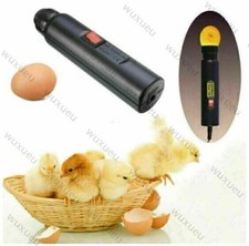 Portable Black Cool Light LED