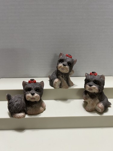 Set yorkshire terrier - set, 3