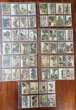 Set of CAVANDER CAMERA STUDIES (Large) 1926 cigarette cards
