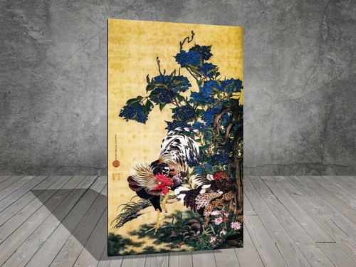 Ito jakachu rooster and hen - rooster,