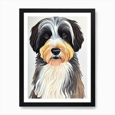 Tibetan terrier watercolour - tibetan,