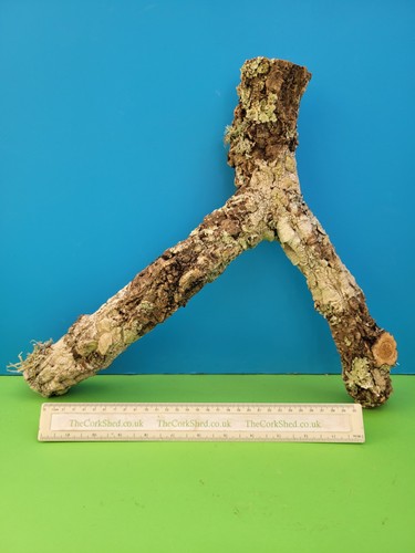 Cork bark branch 36cm - cork,