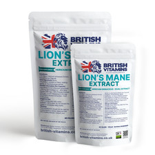 Lion’s Mane Mushroom