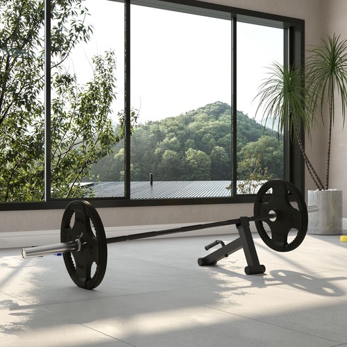 Olympic 210cm curl bar - ez,