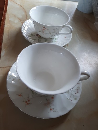 Wedgwood campion cups and - wedgwood,