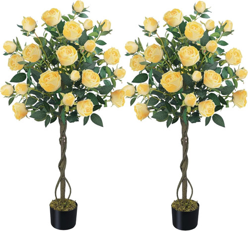 4ft yellow rose - yellow, tree