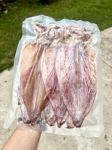 Fresh wild caught squid - squid, from