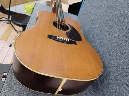 Cats eyes 800 acoustic - eyes, ce-800