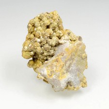 Pyromorphite - Les Farges