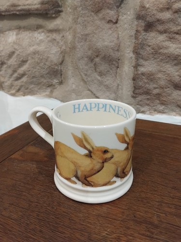 Rare emma bridgewater - rare,