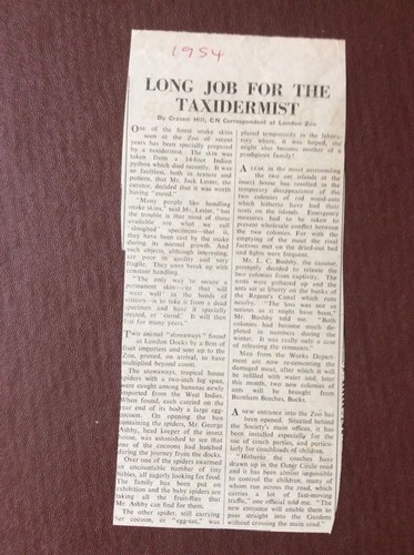K1l ephemera 1954 - ephemera, article