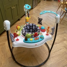 Fisher price jumperoo animal