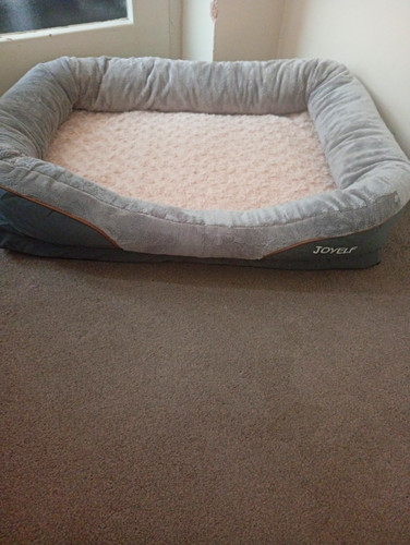 Joyelf medium memory foam dog - medium,