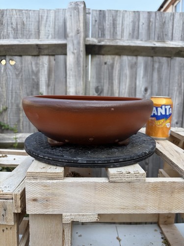 Brand new bonsai - brand,