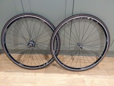 Fantastic Pair Of American