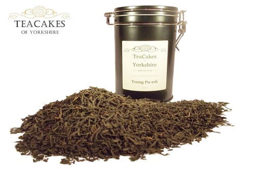 Young erh tea gift - young,