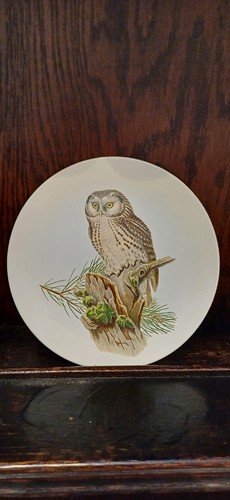 Vintage poole pottery england - poole,