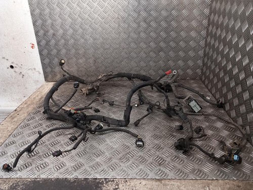 Ford fiesta mk7 engine - ford,