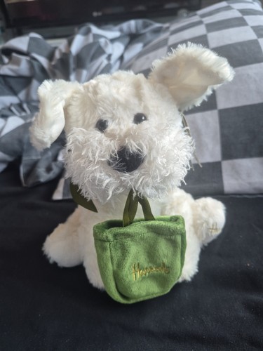 Small harrods westie - westie, dog