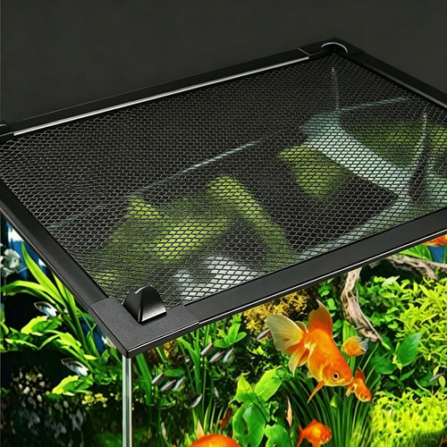 Aquarium lid prevents - aquarium,