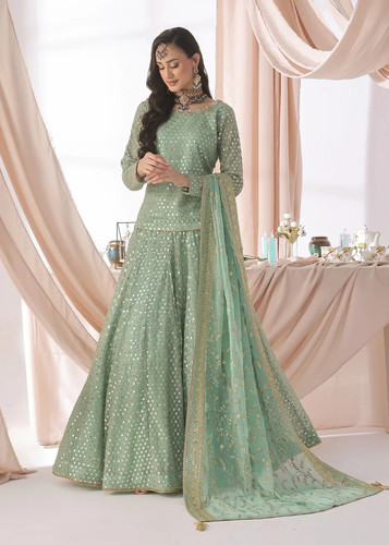 Wedding party wear pakistani - wear,