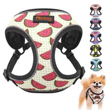 Cute dog harness - dog,