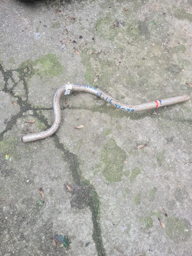 Chrysler sunbeam exhaust - chrysler, tail