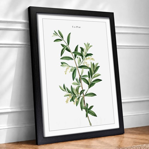 Green olive tree flowers - green,