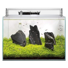 Superfish scaper aquarium - scaper, 45