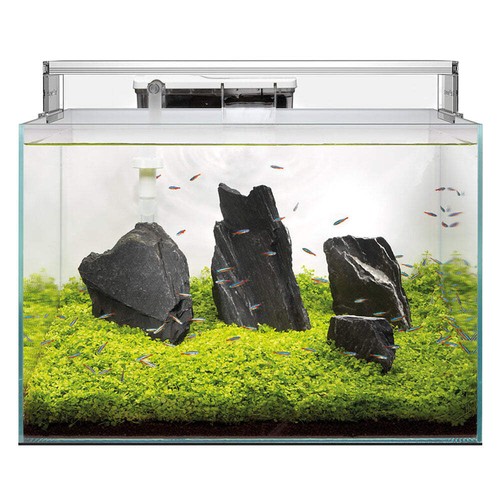 Superfish scaper aquarium - superfish,