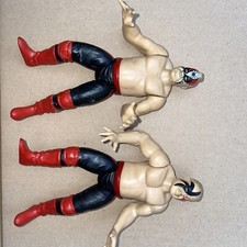 WWE Legion Of Doom Animal &