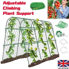 U-Shape Garden Cucumber