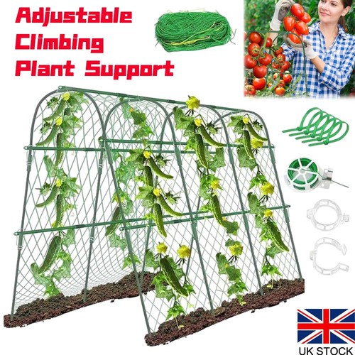 Shape garden cucumber - u-shape,