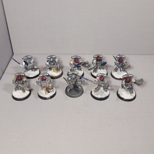 Purgation squad grey - squad, knights