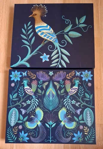 Two bird paradise - of, paradise'